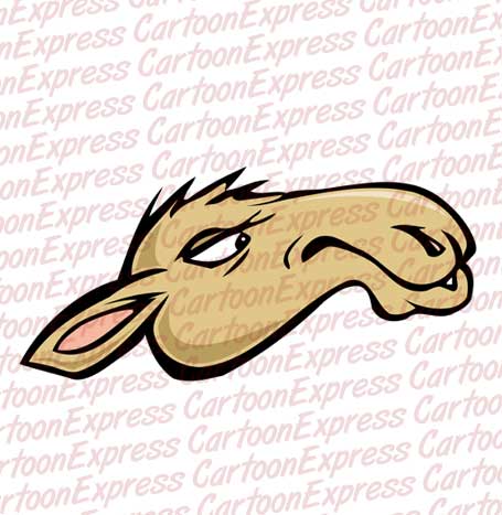 camel head